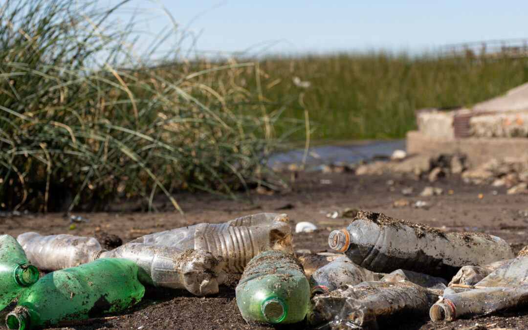 Qué pasa con los residuos que no reciclamos: impacto y soluciones
