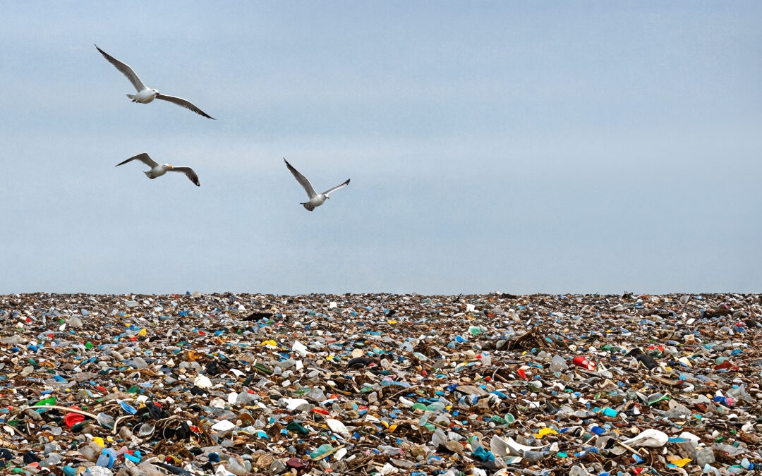 impacto ambiental de los vertederos