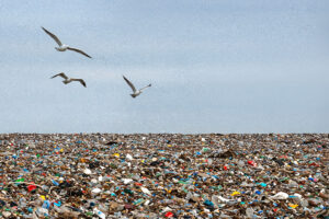 impacto ambiental de los vertederos